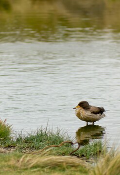 Visita La Salinas en Arequipa