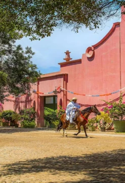 Tacama y Gran Tour con degustación