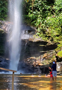 Tarapoto Tropical