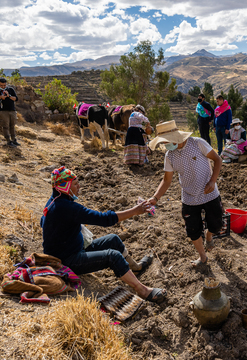 Turismo vivencial en el Colca y Ruta del Sillar