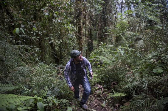 turista en la selva