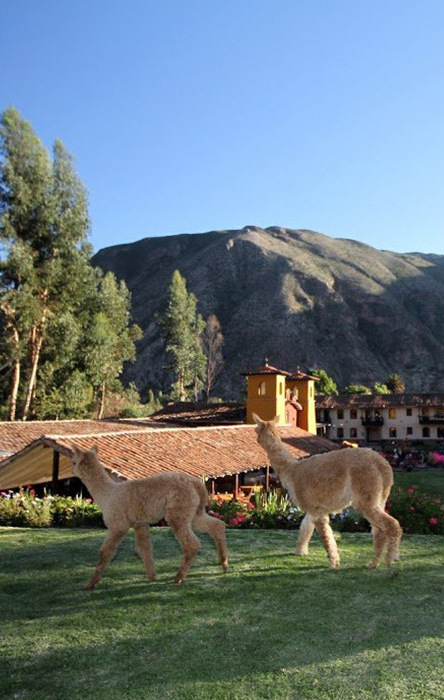 Celebra en Urubamba