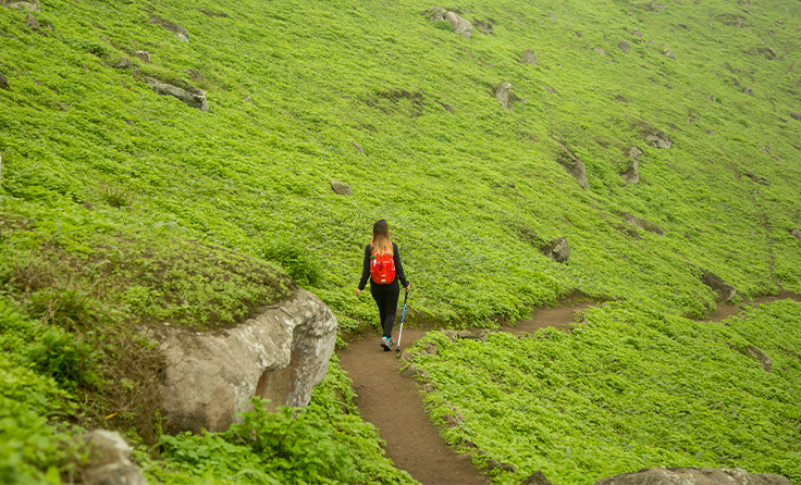 Lomas de Lúcumo