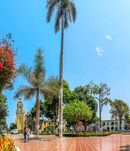 Parque Municipal