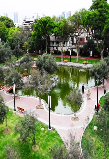 VISITA ESPECIAL: DESCUBRE LAS AVES DEL BOSQUE EL OLIVAR - GLOBAL BIG DAY