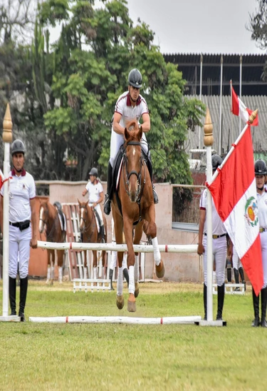 VISITA ESPECIAL: EXHIBICIÓN DE CANES Y CABALLOS - CUARTEL EL POTAO
