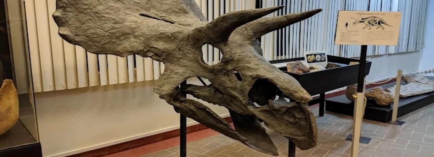 Visita Especial: Museo de Historia Natural de la URP