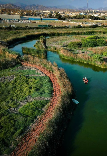 VISITA ESPECIAL: LOS PANTANOS DE VILLA