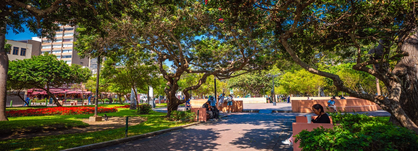 Ven y Baila Miraflores