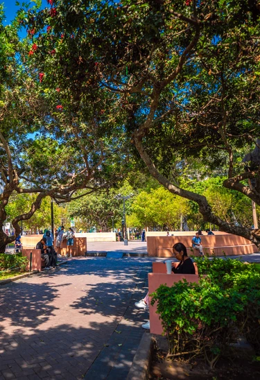 Poesía en el Parque