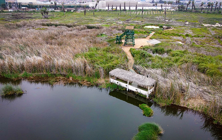 AVENTURA ECOLÓGICA EN LOS PANTANOS DE VILLA