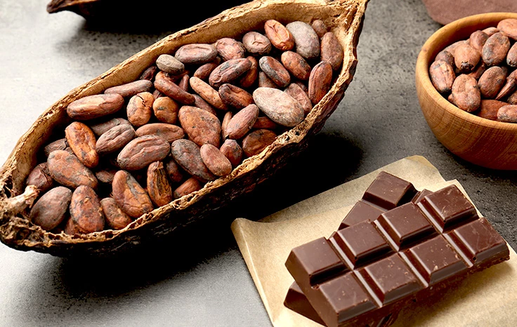 GASTRONOMÍA VIVA: CACAO Y CHOCOLATE PERUANO