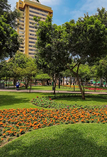 CAMINA MIRAFLORES - QUINTAS DE MIRAFLORES: HUELLAS DE HISTORIA