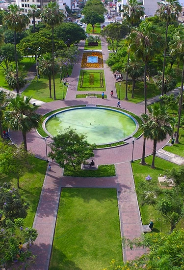 CAMINA MIRAFLORES - TRAS LAS HUELLAS DE PALMA