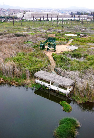 AVENTURA ECOLÓGICA EN LOS PANTANOS DE VILLA