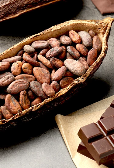 GASTRONOMÍA VIVA: CACAO Y CHOCOLATE PERUANO