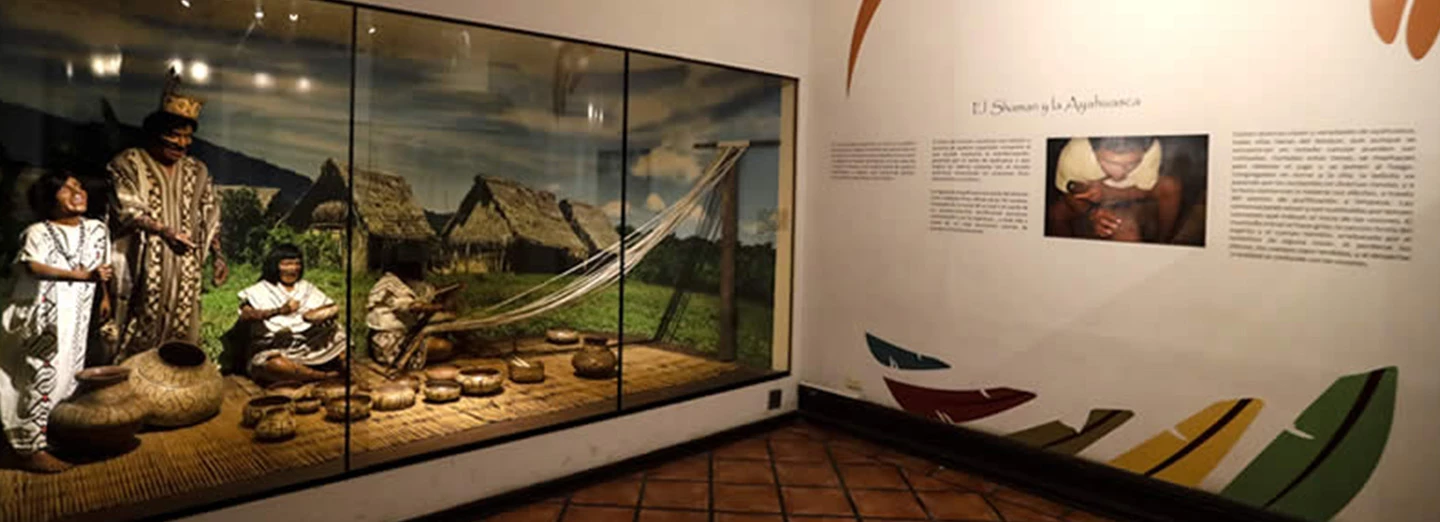 VISITA ESPECIAL: MUSEO ETNOGRÁFICO JOSÉ PÍO AZA