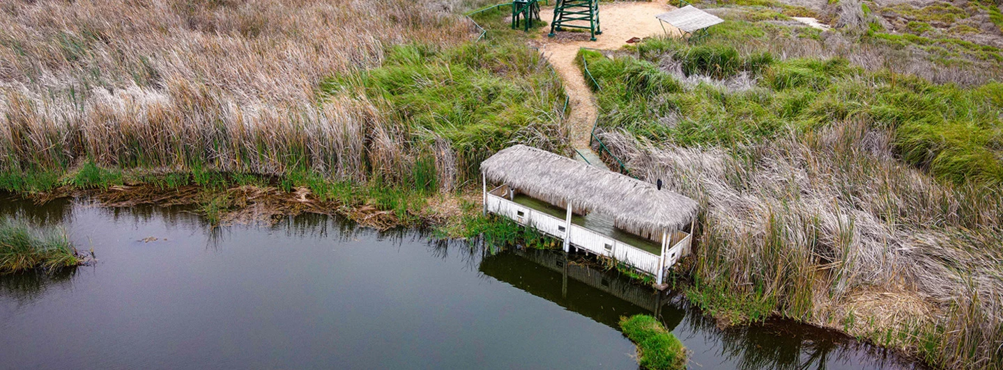 AVENTURA ECOLÓGICA EN LOS PANTANOS DE VILLA