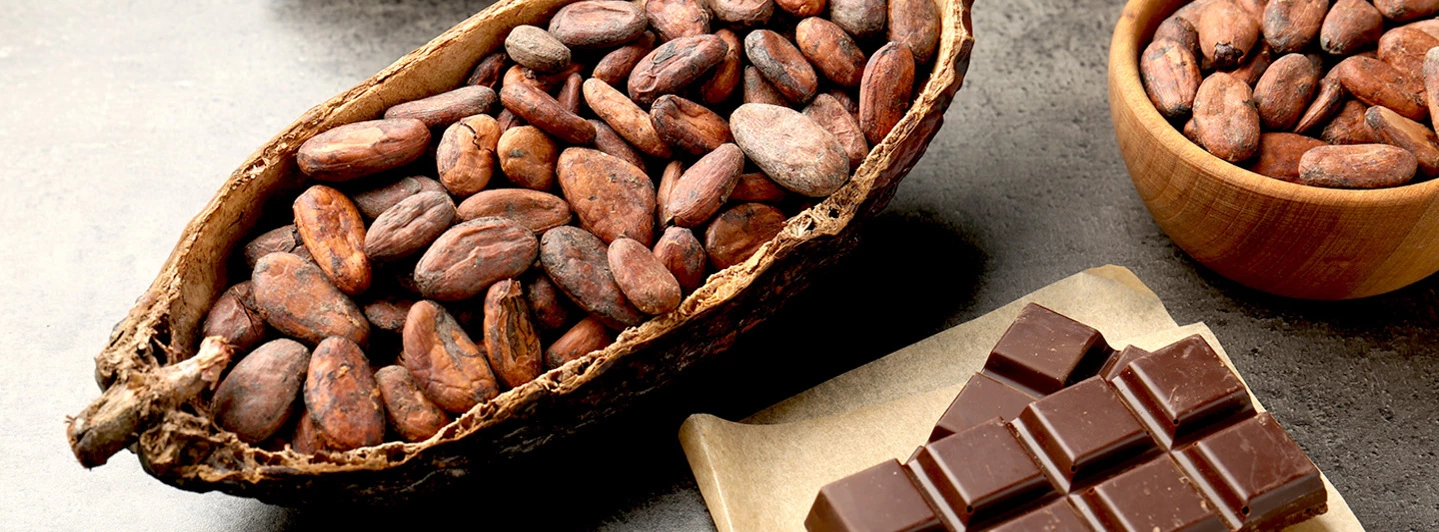 GASTRONOMÍA VIVA: CACAO Y CHOCOLATE PERUANO