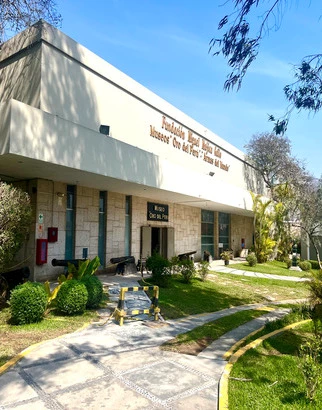 Visita Especial: Museo de Oro y Armas del Mundo