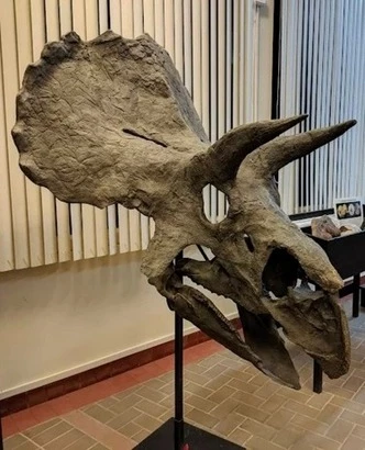 Visita Especial: Museo de Historia Natural de la URP