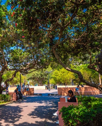 Poesía en el Parque