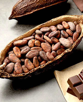 GASTRONOMÍA VIVA: CACAO Y CHOCOLATE PERUANO