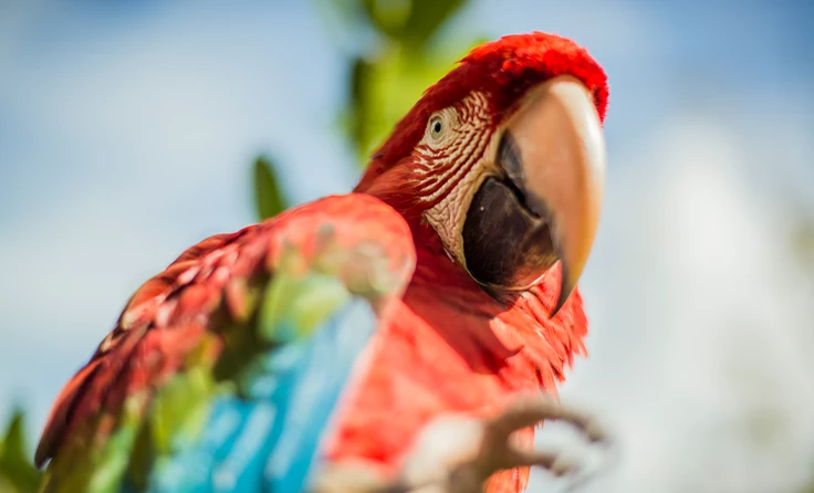 PARQUE DE LAS LEYENDAS