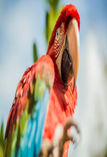 PARQUE DE LAS LEYENDAS