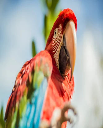 PARQUE DE LAS LEYENDAS