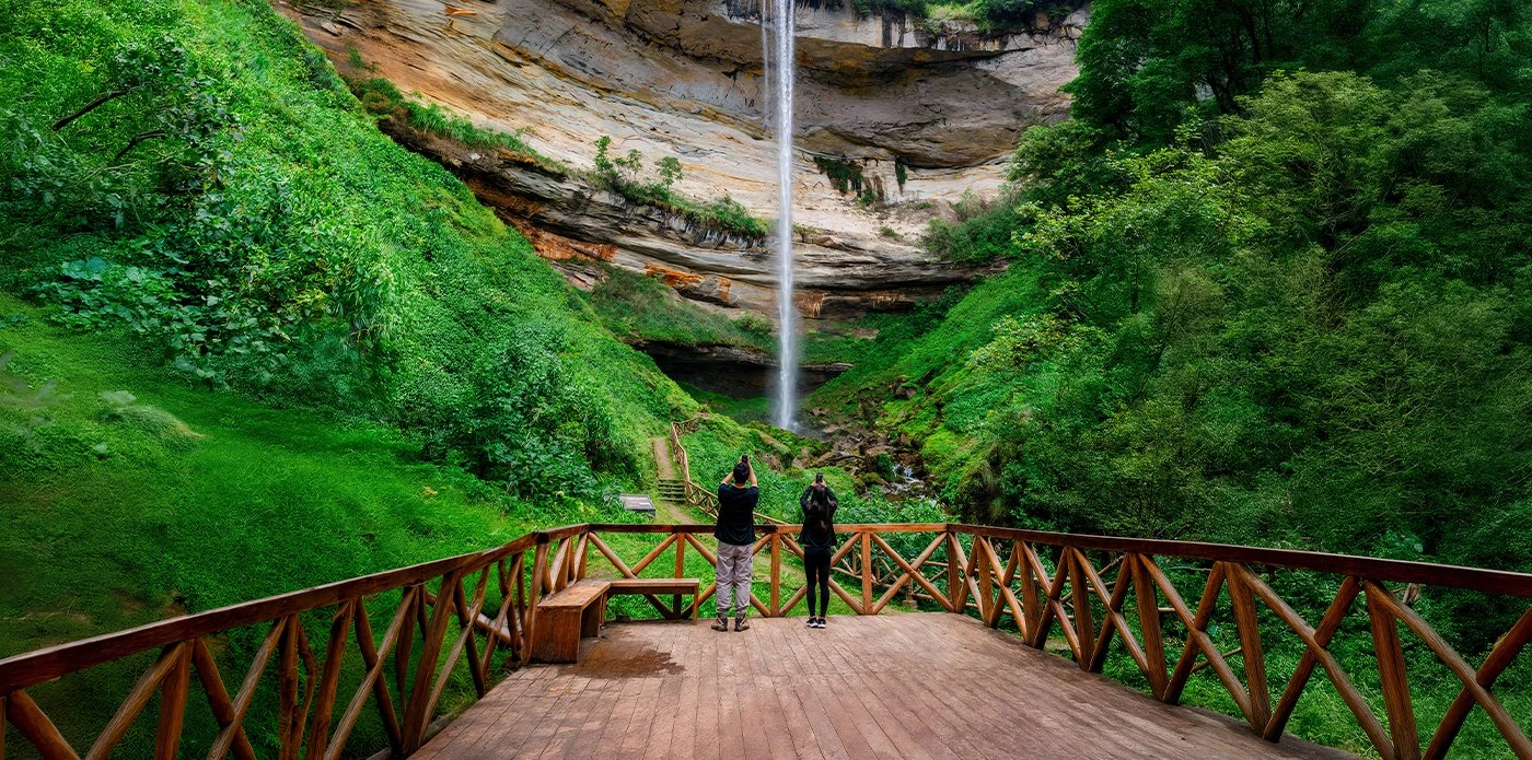 Un viaje al corazón de la biodiversidad