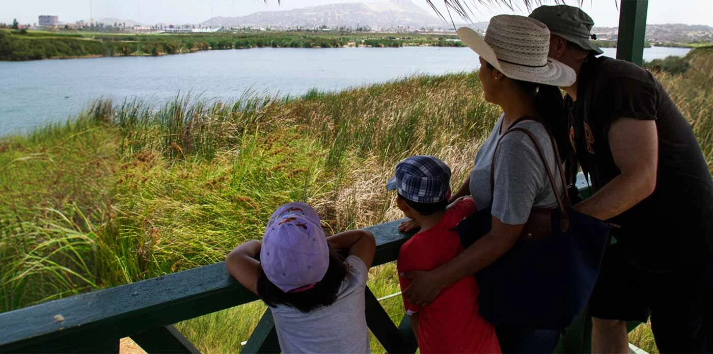 Pantanos de Villa: escápate a un oasis natural sin salir de Lima