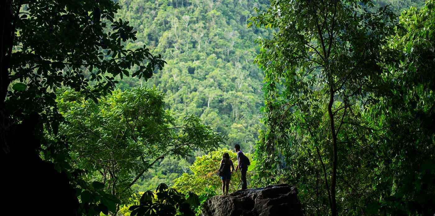¡Explora el Parque Nacional Tingo María!