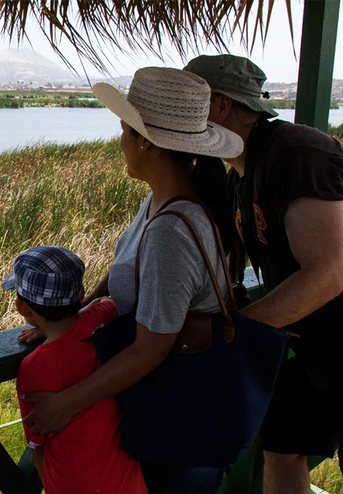 Pantanos de Villa: escápate a un oasis natural sin salir de Lima