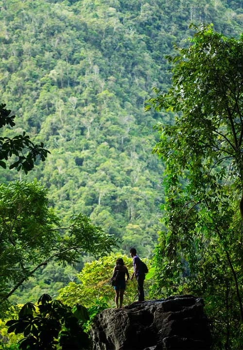 ¡Explora el Parque Nacional Tingo María!