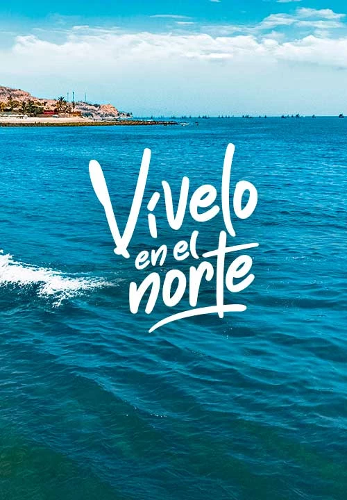 ¡Vive el verano todo el año!