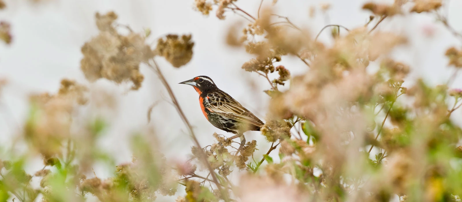 ¡Promociona tu negocio en Y Tú Qué Planes!