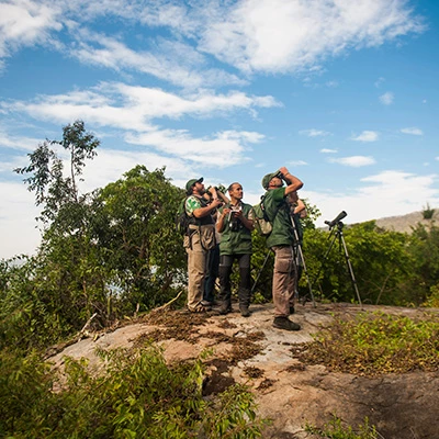 Global Big Day: 6 destinos para descubrir aves en el Perú 