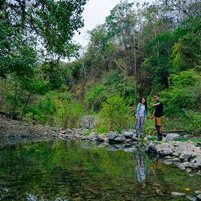Parque Nacional Cerros de Amotape de fiesta: explora la joya natural del norte peruano