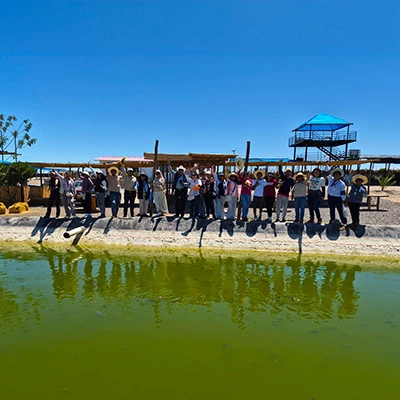 Salar de San Camilo: el secreto natural y escondido de Arequipa