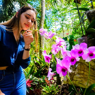 Festival de la Orquídea 2026: vive la fiesta de las flores en Moyobamba