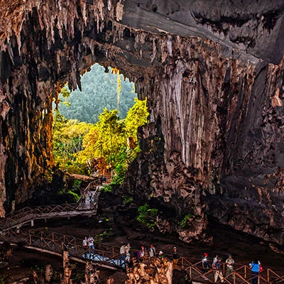 Descubre el Parque Nacional Tingo María: 6 razones para visitar este paraíso en el corazón de Huánuco