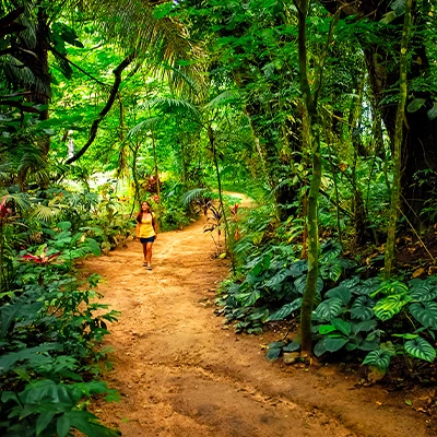 ¿Qué hacer en Chanchamayo? 8 planes entre cataratas, café y naturaleza