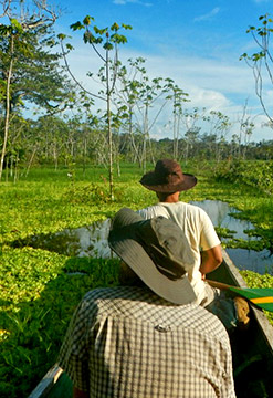 Descubre el Amazonas, maravilla natural del mundo