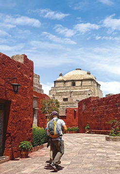Arequipa Blanca y Natural
