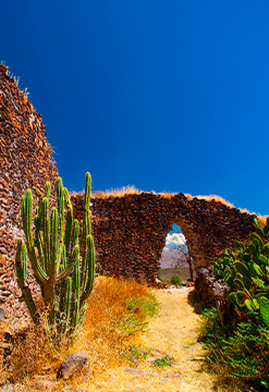 Encanto Ayacucho