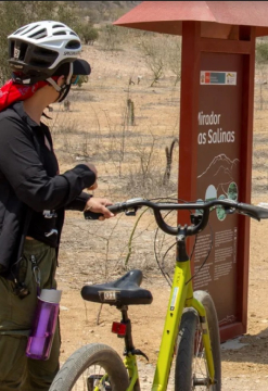 Bicitour en Bósque de Pómac