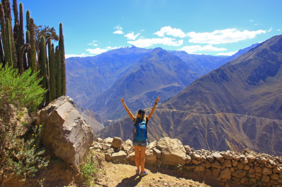 Colca_Oasis_09032023_C-3.jpg