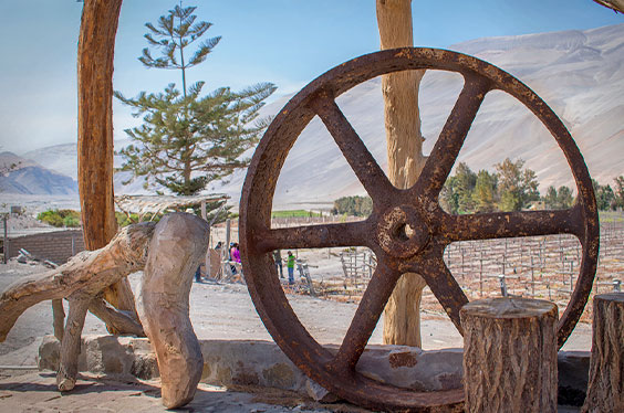Colca_SkyviajesArequipa_25012023_3C-2.jpg