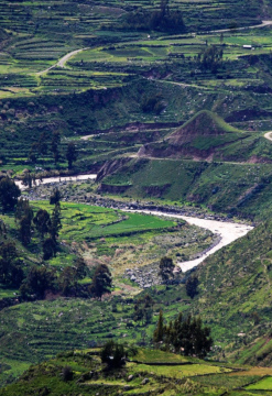 Cañón del Colca Plus